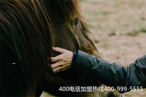 (在哪辦理400電話)(如何選擇正規的400電話服務商)