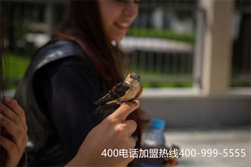 (400服務電話怎么申請)(400電話哪家服務商比較好)